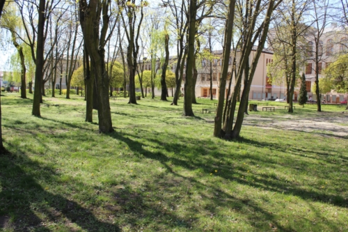 Teren cmentarza żydowskiego przy ul. 3 maja w Płocku (fot. P. Dąbrowski) 