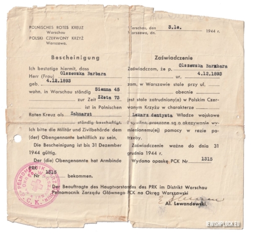 Zaświadczenie wydane 3 października 1944 roku, że Barbara Olszewska jest stale zatrudniona w Polskim Czerwonym Krzyżu w charakterze lekarza dentysty (źródło: archiwum prywatne Zuzanny Witwickiej)